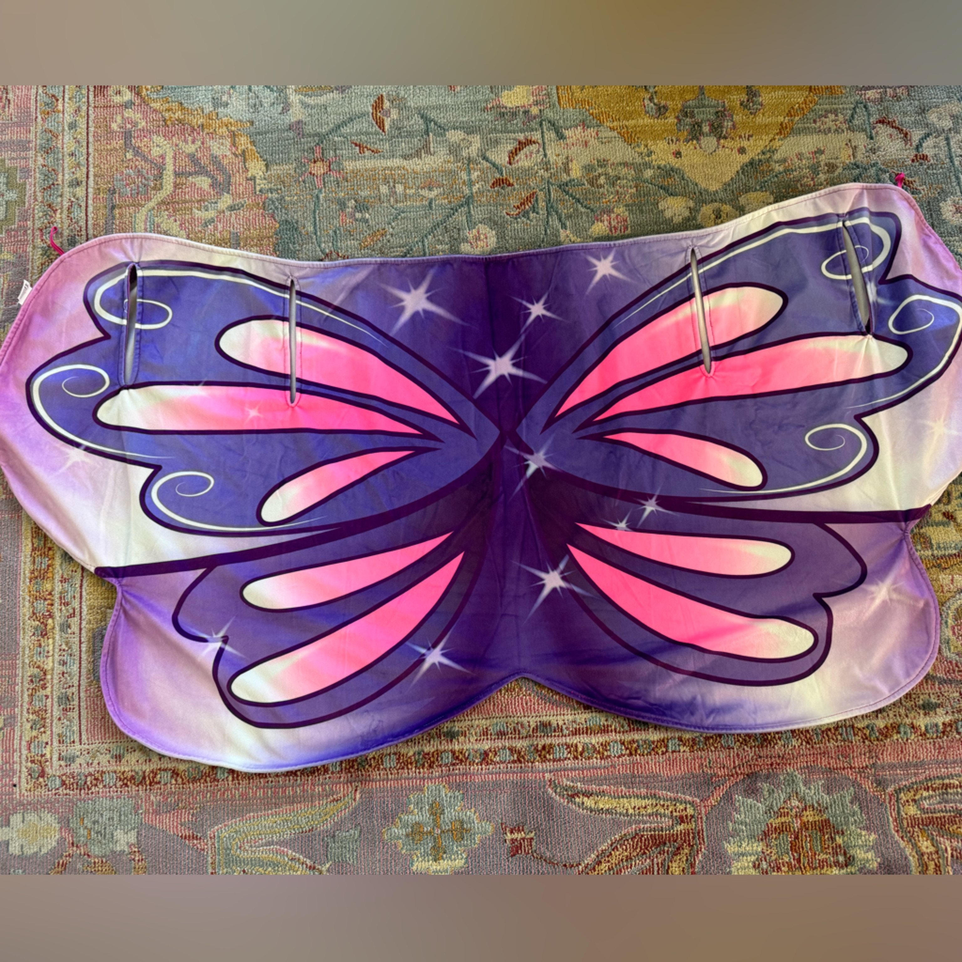 Cozy Wings Butterfly Wings